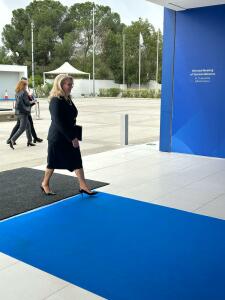 Ирена Георгиева