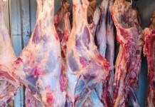 Броени дни преди Великден: Откриха 10 тона агнешко месо с неясен произход в Свищов Месо