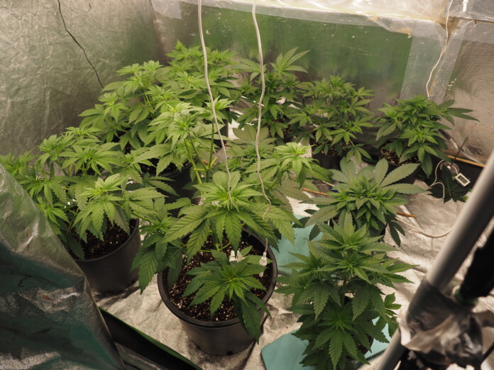 Наркотиците