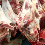 Незаконна кланица