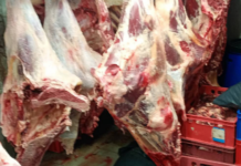 Незаконна кланица