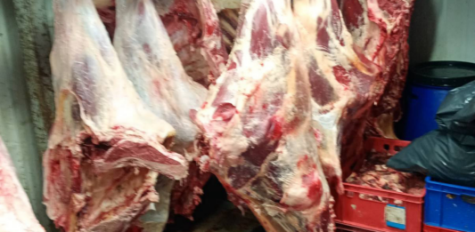 Незаконна кланица