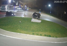 Опасни маневри в Ямбол: Шофьор е заснет и санкциониран Опасно шофиране в Ямбол