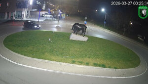 Опасно шофиране в Ямбол