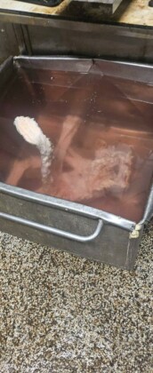 Откритите храни край Пловдив