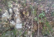 Силиврякът