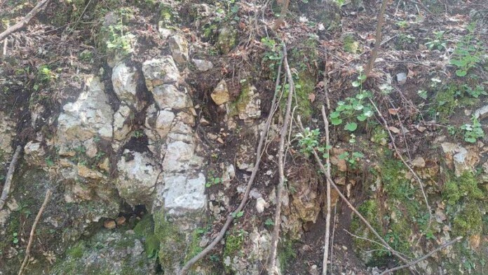 Силиврякът