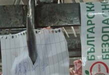 Възбранени агнета