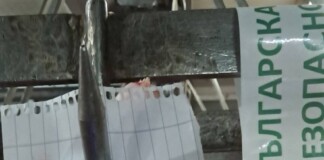 Възбранени агнета