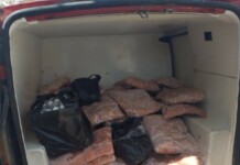 Хванаха кола с над 600 кг храна без документи в Свиленград Заловена храна в Свиленград