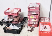 Затвориха месокомбинат в Свиленград след мащабна проверка Затвориха месокомбинат в Свиленград след мащабна проверка