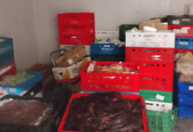 3,6 тона месо от кланица в Харманли ще бъдат унищожени