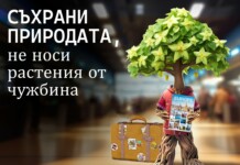 Растително здраве
