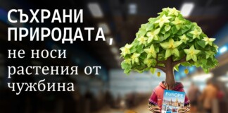 Растително здраве