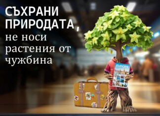 Растително здраве