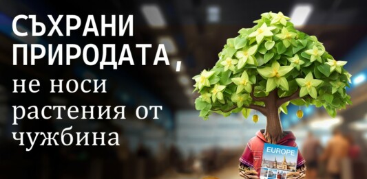 Растително здраве