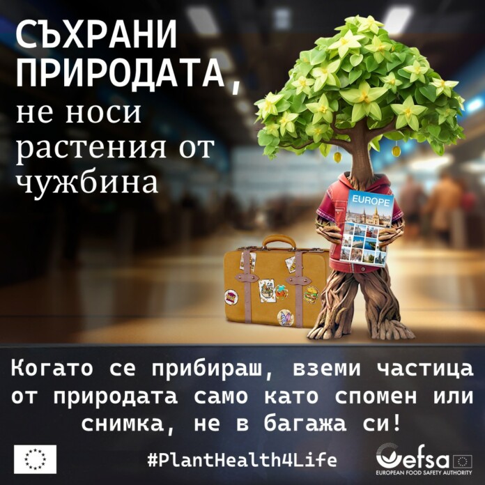 Растително здраве