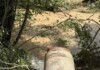 Без вода заради скъсан водопровод: Трима министри отиват в Севлиево Без вода заради скъсан водопровод: Трима министри отиват в Севлиево