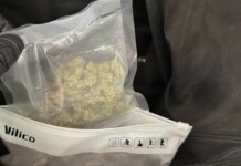 36-годишен от Лом задържан за шофиране дрогиран и държане на наркотици Наркотици