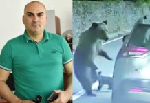 Българинът Георги Бижев, който оцеля след нападение на мечка в Румъния Георги Бижев