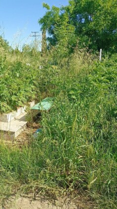 Непочистени гробове