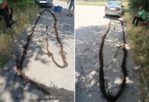 Корени запушиха водопровод към кюстендилско село Корени запушиха водопровод към кюстендилско село