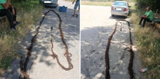 Корени запушиха водопровод към кюстендилско село