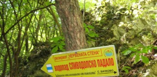 Сливодолско падало