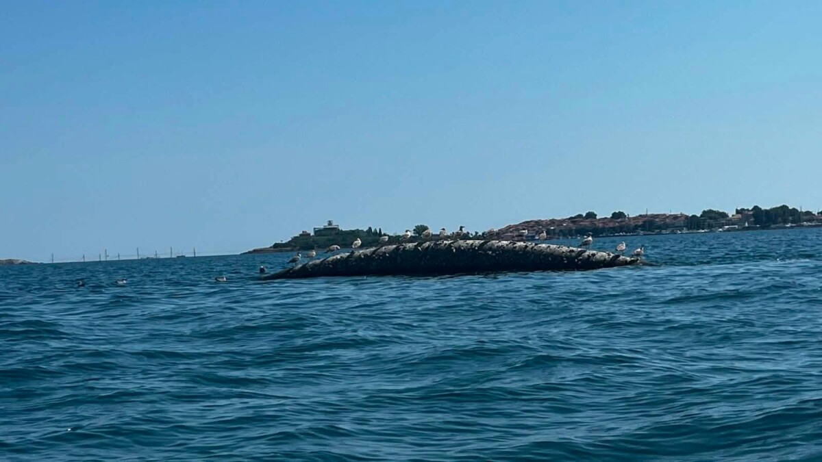 Сигнал за тръба стърчаща над морската повърхност край Созопол предизвика