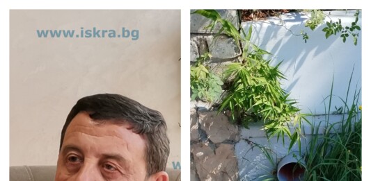 Венелин Ташев