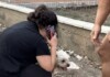 Нападнатото дете и кучето, което впоследствие умира