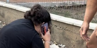 Нападнатото дете и кучето, което впоследствие умира