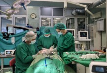 С 12-часова операция в УМБАЛ – Бургас възстановиха челюстта на възрастна жена с кост от таза Операцията