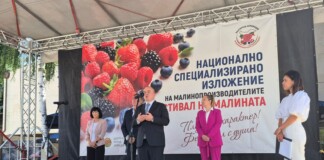 Пламен Абровски