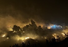 Пожарът край Асеновград