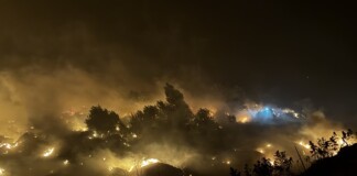 Пожарът край Асеновград