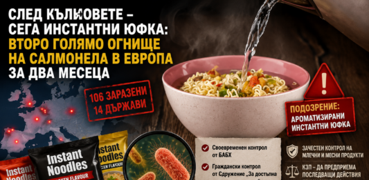 Салмонела в юфка