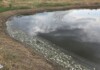 Мъртва риба изплува в язовир „Пясъчник“: Започна спешна проверка