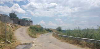 Път край Велешани