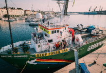 Arctic Sunrise