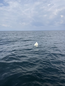 Дрон в Черно море