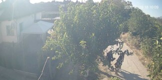 Двете сестри