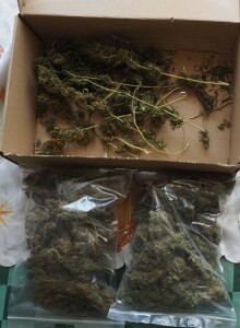 Марихуаната
