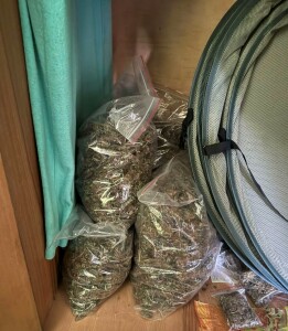 Огромно количество марихуана е открито при спецакция на полицията в Старозагорско 1 Марихуаната