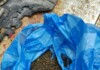 Плик с марихуана открили криминалисти на покрива на къща в Ботевград днес Марихуаната