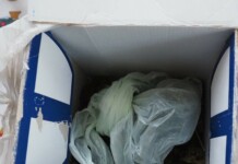 Пореден удар на полицията в Старозагорско: Марихуана е била открита на адрес в село Петрово Марихуаната