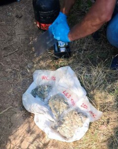 Криминалисти от РУ-Чирпан иззеха над половин килограм марихуана в хода на спецоперация 1 Наркотиците