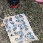 Криминалисти от РУ-Чирпан иззеха над половин килограм марихуана в хода на спецоперация Наркотиците