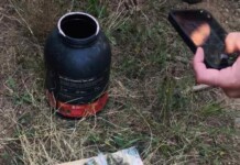 Криминалисти от РУ-Чирпан иззеха над половин килограм марихуана в хода на спецоперация Наркотиците