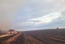 Пожарът между Първомай и село Брягово вече е локализиран Пожарът край Първомай